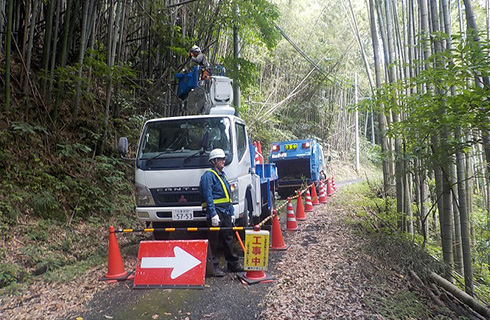 伐採・草刈工事